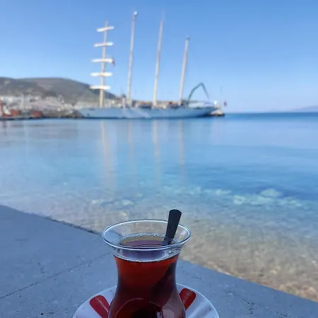 Dikili Dikili
